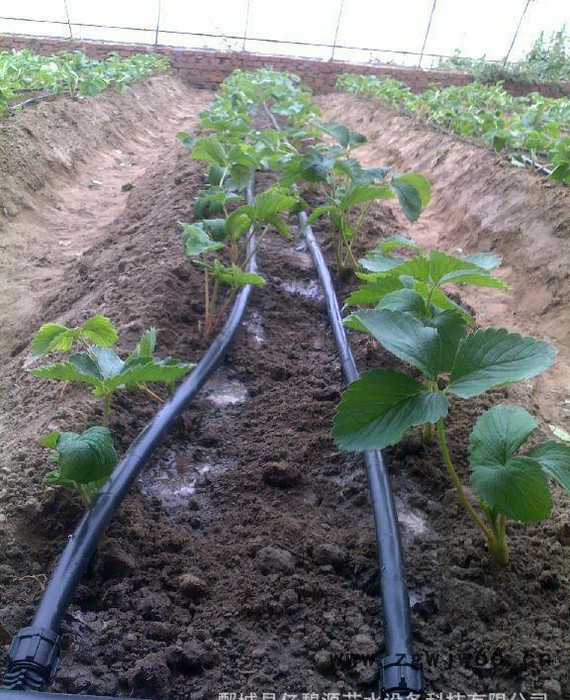 滴灌管件、滴灌旁通阀、菏泽滴灌、河南滴灌、滴灌旁通管件图3