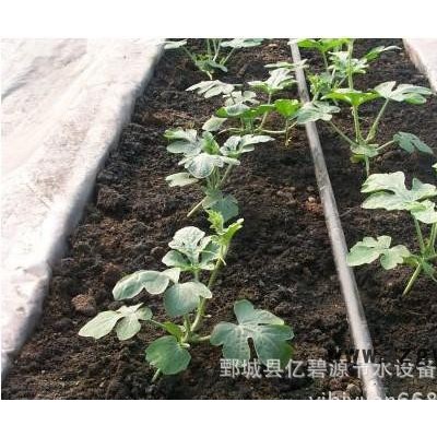 滴灌管件、滴灌旁通阀、菏泽滴灌、河南滴灌、滴灌旁通管件