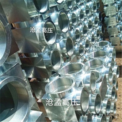 沧孟高压 沧孟冀安气体消防管件气体灭火管件 气体消防高压管件 镀锌丝接消防管件