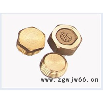 供应雨禾管业堵头 20-110 ppr管件 铜堵头铜件 ppr管件 铜堵头铜件