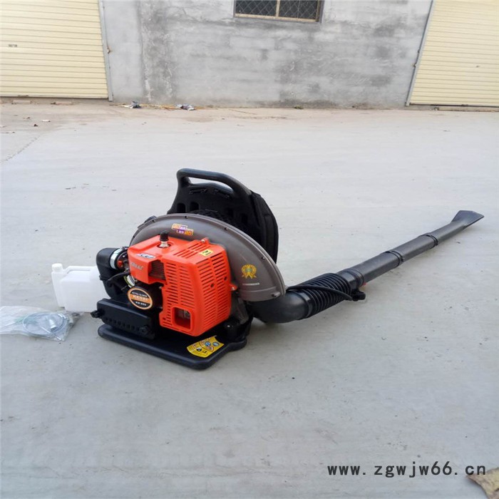 多功能吹尘机 新郑道路碎石吹风机 园林工具手扶式吹尘机图6
