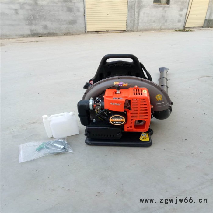 多功能吹尘机 新郑道路碎石吹风机 园林工具手扶式吹尘机图8