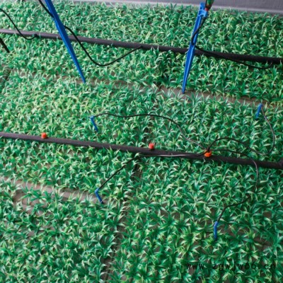 现货出售吊挂微喷 大棚农用灌溉喷头 灌溉园林工具吊挂微喷