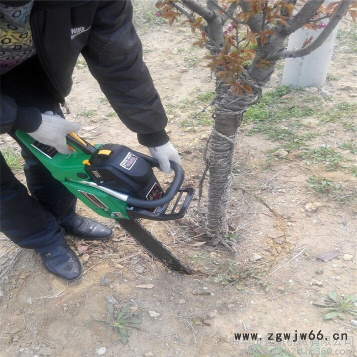 油链条式挖树机 智航苗圃园林工具挖树机 带土球移苗机型号图2