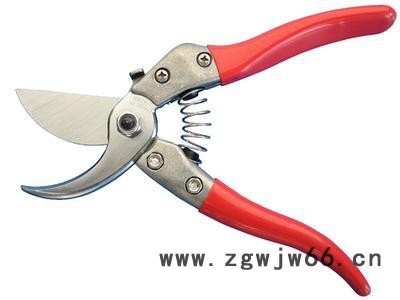 各种园林工具,园艺剪图4