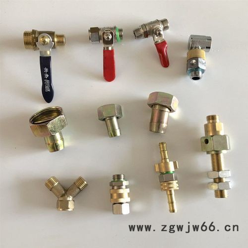 4分水管纯铜通水接头 奶嘴型水枪专用快接头 园林工具接头佰瑞生产厂家