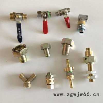 4分水管纯铜通水接头 奶嘴型水枪专用快接头 园林工具接头佰瑞生产厂家