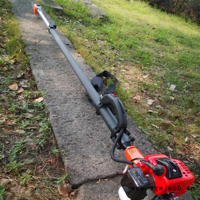 汽油伸缩棕榈刀   加长杆棕榈机  农林果树园林电动剪    园林工具电动剪图6