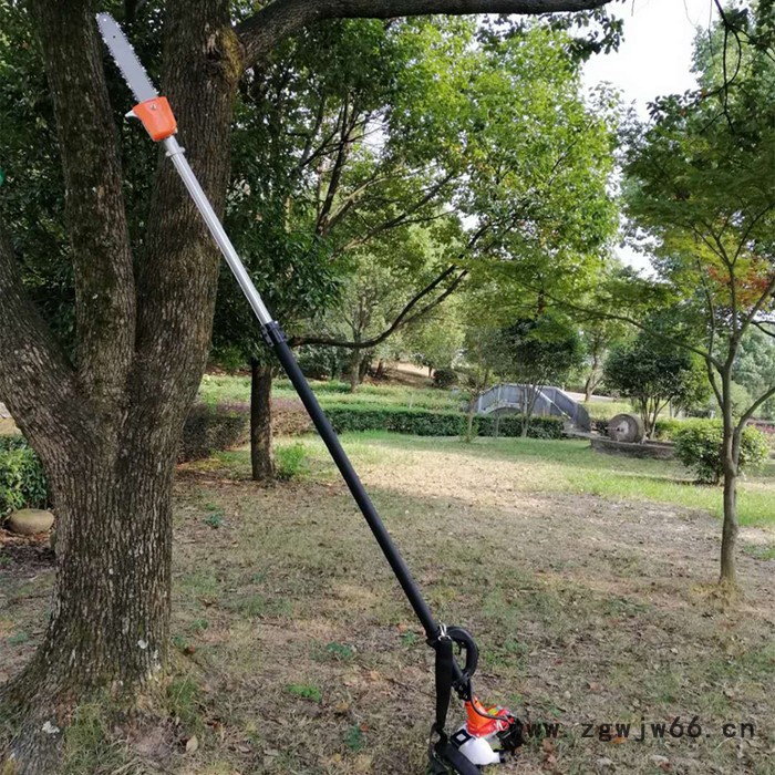 汽油伸缩棕榈刀   加长杆棕榈机  农林果树园林电动剪    园林工具电动剪图4