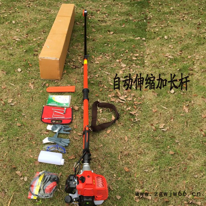汽油伸缩棕榈刀   加长杆棕榈机  农林果树园林电动剪    园林工具电动剪图5
