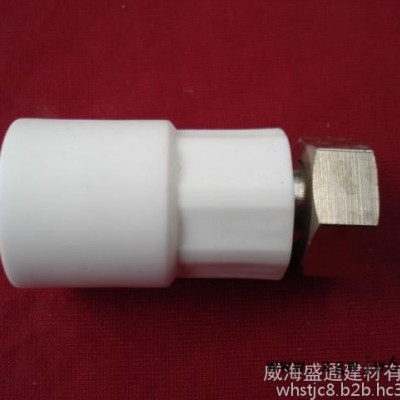 新利通ppr管件 太阳能活接 活络直接 热水器活络接头