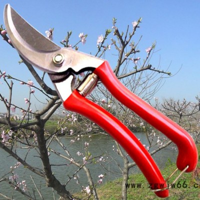 树枝剪 修枝剪  园林工具 剪刀 65锰钢  **剪刀 锋利刀刃  省力