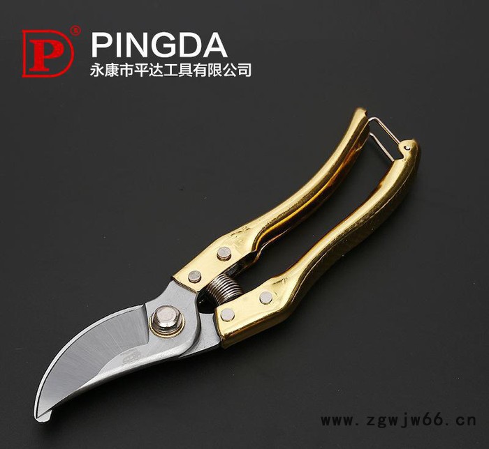 平达PINGDA修枝剪修花木园林工具园艺剪刀果树剪子粗枝剪花剪
