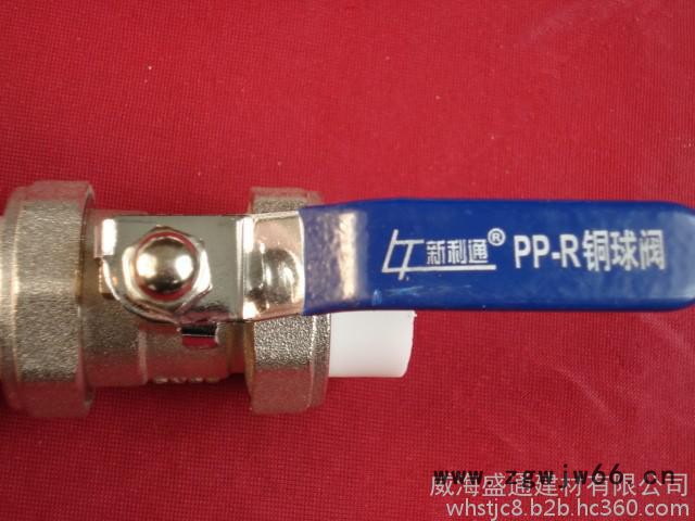 PPR管件 双活接铜球阀 铜球铜杆图6