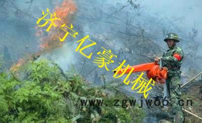 于洪森林消防**风机亿豪园林工具背负式吹雪机大功率高品质汽油吹风机图3