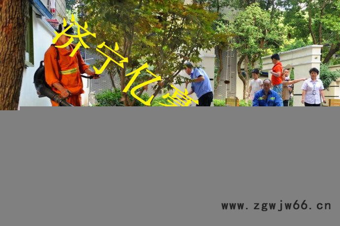 东风森林消防**风机亿豪园林工具背负式吹雪机大功率高品质汽油吹风机图8