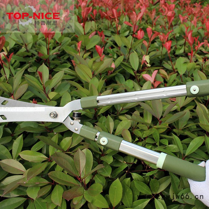 特普耐思TY-0203 园林剪刀  篱笆剪  适合初次造型 绿篱剪 园林工具批发图2