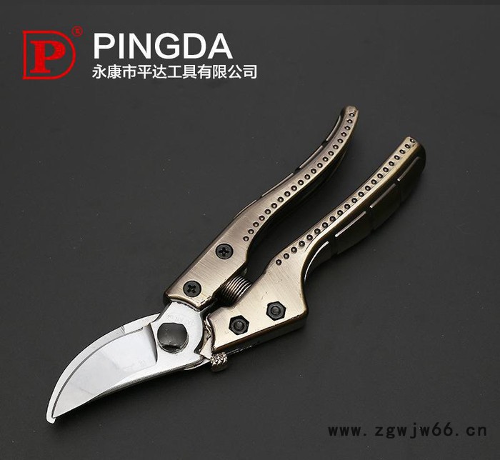 平达PINGDA修枝剪修花木园林工具园艺剪刀果树剪子粗枝剪花剪图2