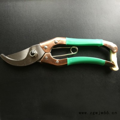 特价家用修枝剪果树剪枝刀园林剪枝剪园艺修剪刀修枝剪刀园林工具