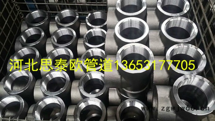 思泰欧牌DN50 CL3000 六角管塞 承插管件 螺纹弯头 螺纹弯头等高压管件图2