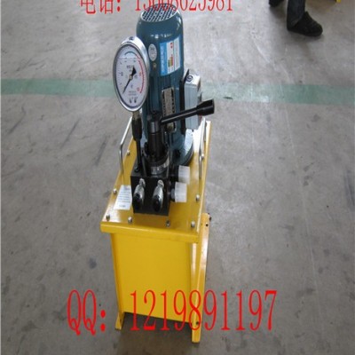 液压工具  DSS系列电动油泵