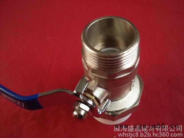 新利通ppr管件 外丝单活接铜球阀 铜球铜杆图2