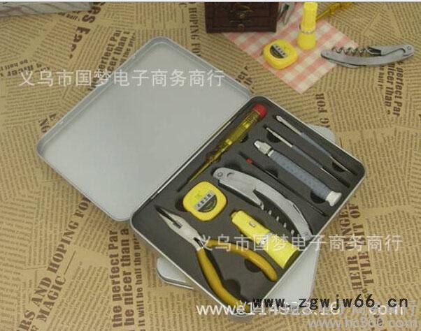 供应厂家批发 五金家用多功能 组合工具箱 铁盒菲尔10合1套装 2050图3