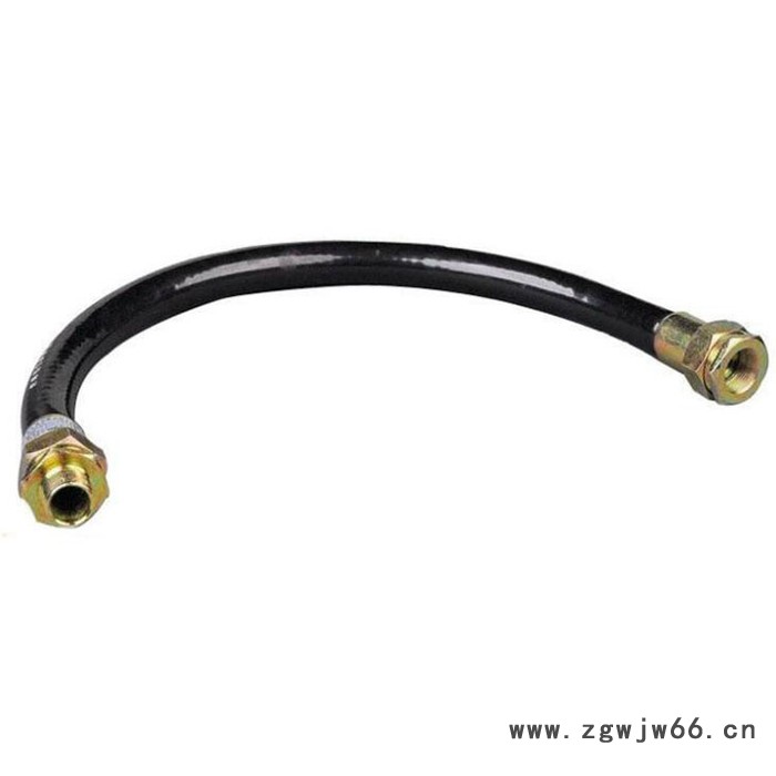 洪坤 挠性管 防爆橡胶挠性连接管 DN20防爆管件图3