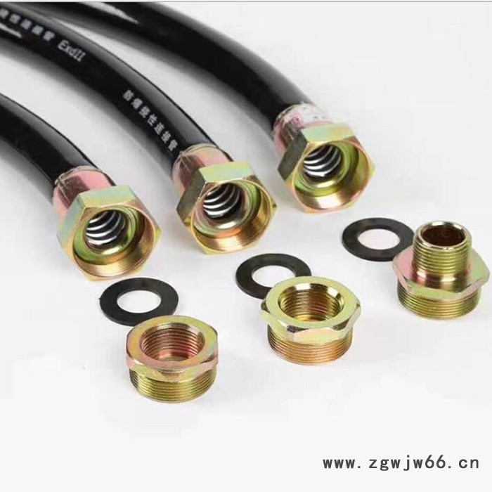 洪坤 防爆挠性管 防爆橡胶挠性连接管 DN20防爆管件图5