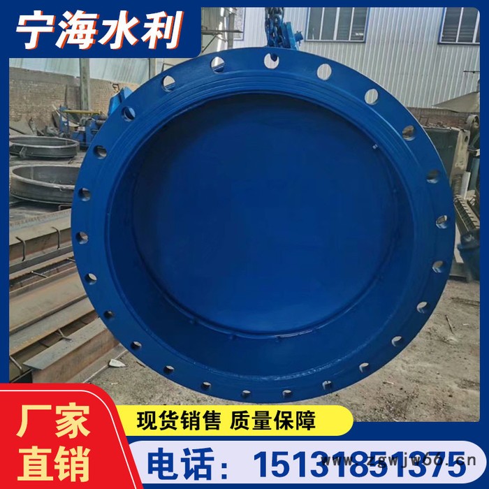 管件拍门  轻质复合拍门  宁海 市政排水拍门图7