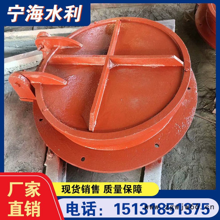 管件拍门  轻质复合拍门  宁海 市政排水拍门图2