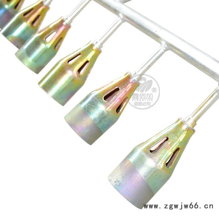 养殖场用消毒枪 猪场消毒枪消毒火焰枪 4孔6孔8孔10孔火焰消毒枪 液化气消毒喷枪图2