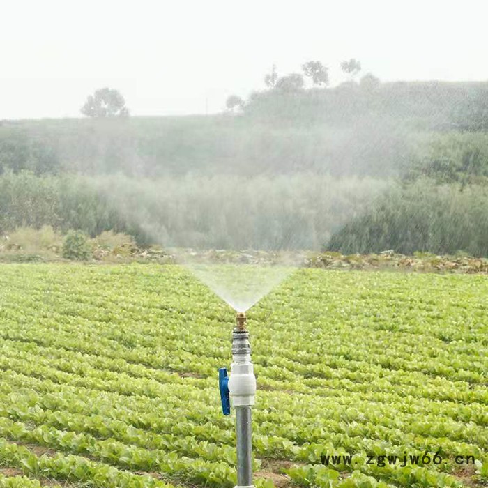 花草喷灌喷枪 景观灌溉喷枪 降温除尘喷枪图4