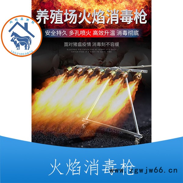 供应火焰喷枪 高温消毒喷枪 加热消毒火焰喷枪图5