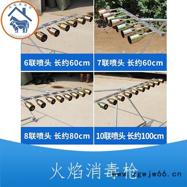 供应火焰喷枪 高温消毒喷枪 加热消毒火焰喷枪图6