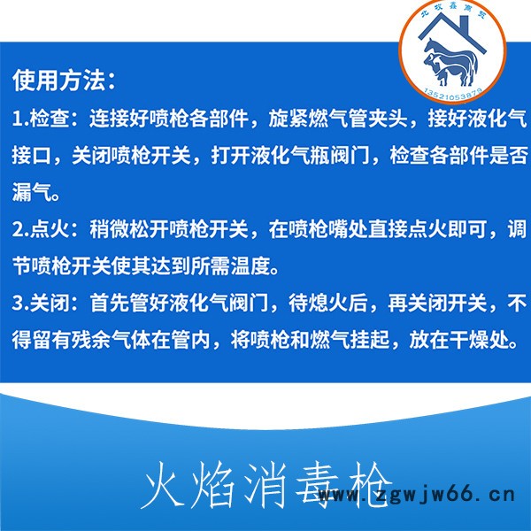 供应火焰喷枪 高温消毒喷枪 加热消毒火焰喷枪图4