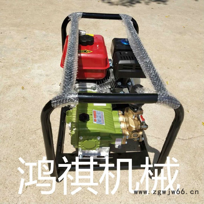 鸿祺KJ 省工高效打药机 普通喷枪弥雾机 框架打药机图2