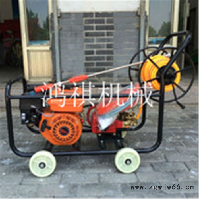 鸿祺KJ 省工高效打药机 普通喷枪弥雾机 框架打药机图6