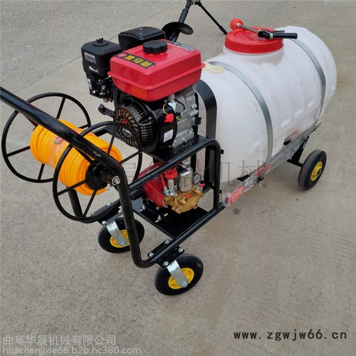高压喷枪消毒机  汽油打药机 华晨四轮手推喷雾器图6