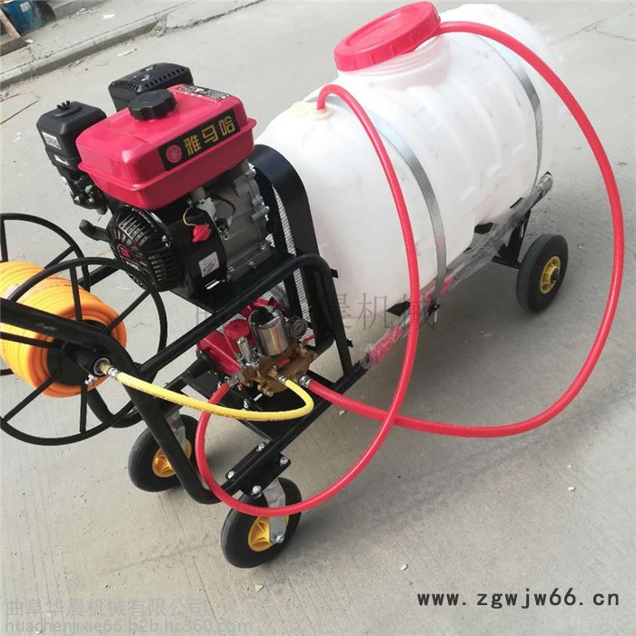 高压喷枪消毒机  汽油打药机 华晨四轮手推喷雾器图3