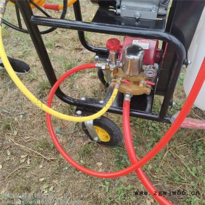 高压喷枪消毒机  汽油打药机 华晨四轮手推喷雾器