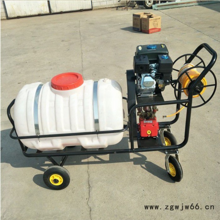 优民 高压喷枪喷雾器 手推式农药喷雾器价格 果树手推式打药机图5