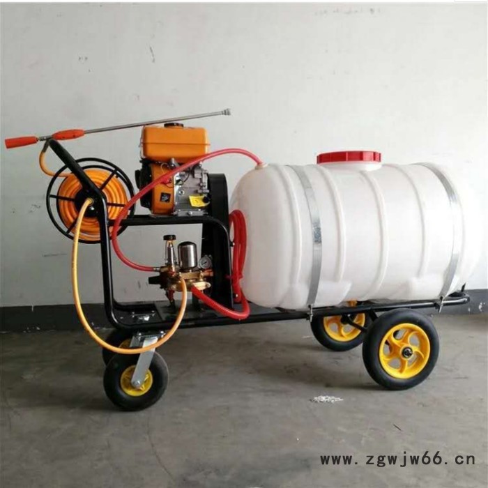 优民 高压喷枪喷雾器 手推式农药喷雾器价格 果树手推式打药机图7