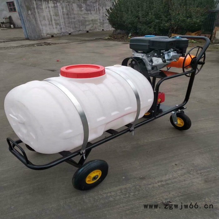 优民 高压喷枪喷雾器 手推式农药喷雾器价格 果树手推式打药机图3