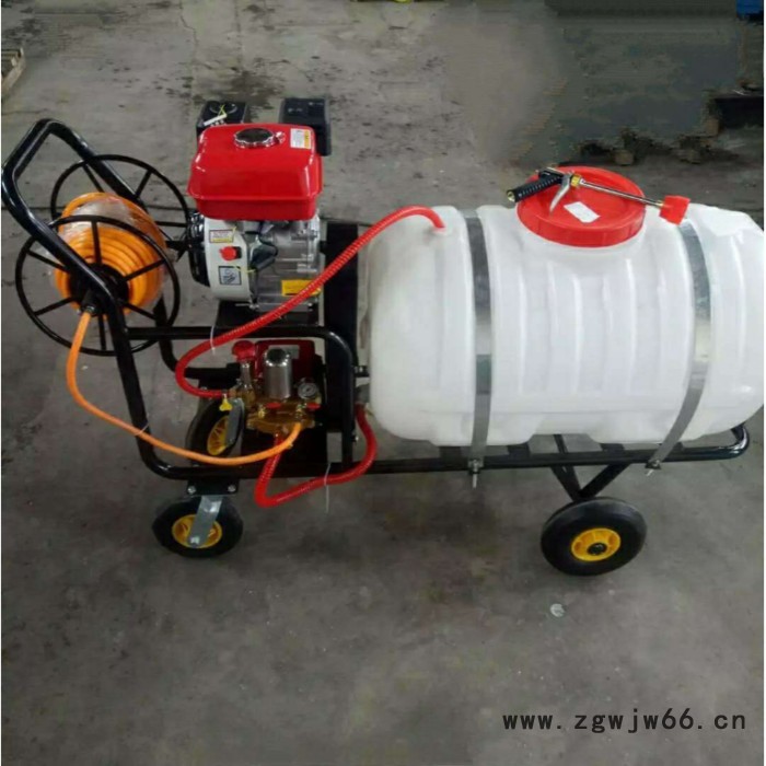 优民 高压喷枪喷雾器 手推式农药喷雾器价格 果树手推式打药机图2