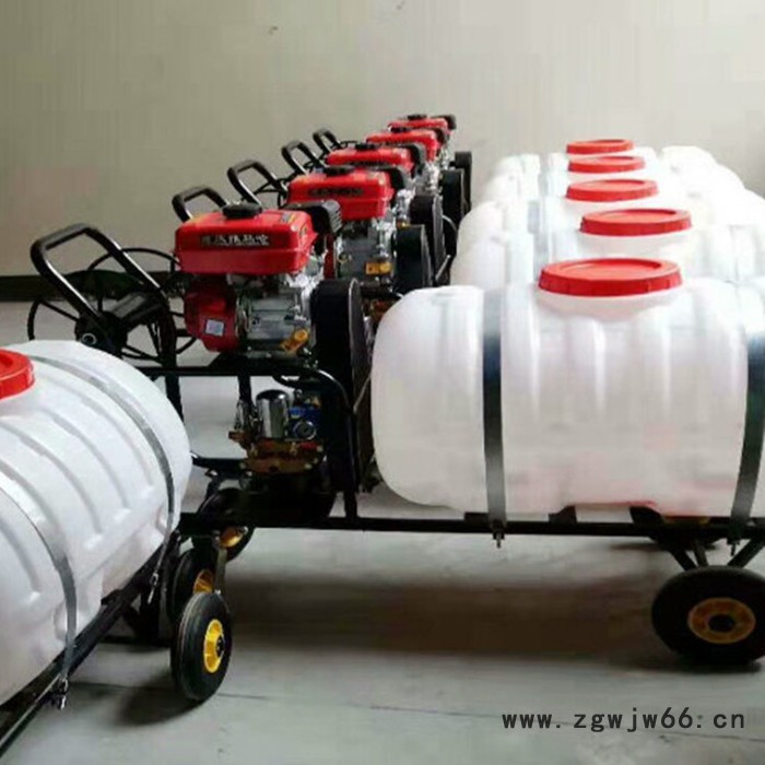 喷枪 农用喷雾枪  打药喷枪60型40型喷雾枪图2