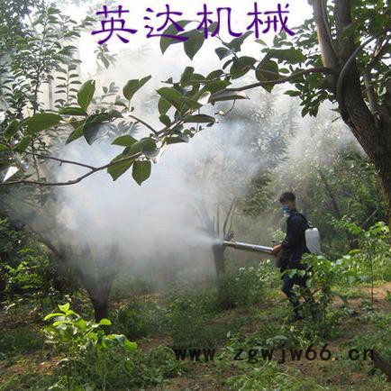 喷枪式弥雾机 果农好帮手打药机 烟雾机《批发》经销图8
