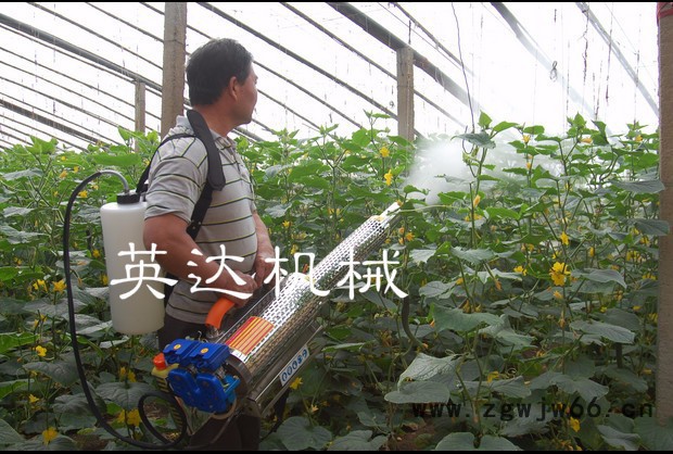 喷枪式弥雾机 果农好帮手打药机 烟雾机《批发》经销图6