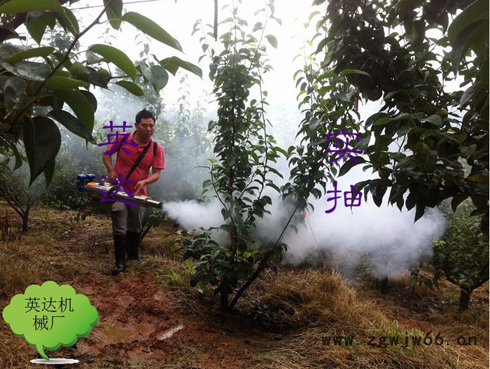喷枪式弥雾机 果农好帮手打药机 烟雾机《批发》经销