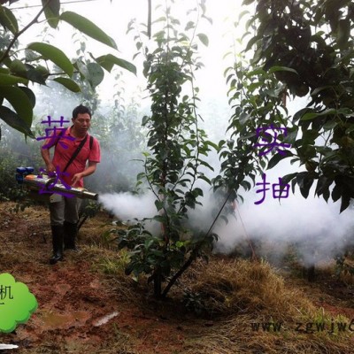 喷枪式弥雾机 果农好帮手打药机 烟雾机《批发》经销
